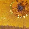 About Summer Love Song