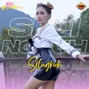 About Selingkuh Song