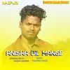 About Anisha Dil Mange Song