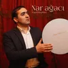 About Nar Ağacı Song