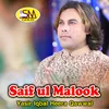 Saif Ul Malook