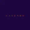 About Cayendo Song