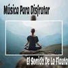 About Viaje Espiritual Song