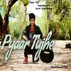 About Pyaar Tujhe Song