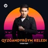 About Qyzğandyrğym Keledі Song