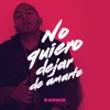 No Quiero Dejar de Amarte