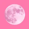 About Moon Lover Song
