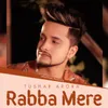 About Rabba Mere Song