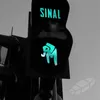 About Sinal Song