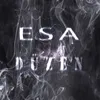 About Düzen Song