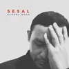 About Sesal Song