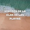 About Enjoying Ocean Waves at Beach Song