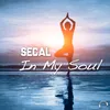 In My Soul Christian Desnoyers Remix Edit