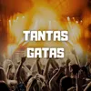 About Tantas Gatas Song