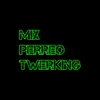 About Mix Perreo Twerking Song