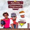 About Naledi Ungowami Song