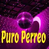 About Puro Perreo Song