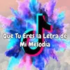 About Que Tu Eres la Letra de Mi Melodía Song