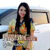 Pergilah Cinta