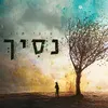 About נסיך Song