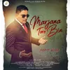 About Marjana Tere Bin Song