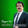 About Saygım Var Song