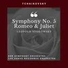 Symphony No. 5 In E Minor : I. Andante - Allegro con Anima