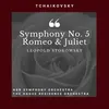 Symphony No. 5 In E Minor : II. Andantino Cantabile