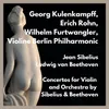 Concerto for Violin and Orchestra in D Minor, Op. 47: I. Allegro moderato