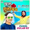 About Phool Gulab Ke Song