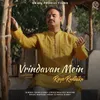 Vrindavan Mein Roye Radhika