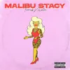 About Malibu stacy Song