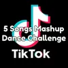 About 5 Songs Mashup Dance Challenge Song