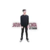 About Jatuh Cinta Song