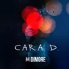 About Cara d. Song