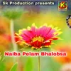 About Naiba Pelam Bhalobsa Song