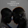 Sympathy for the Soul