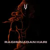 About Raghunadan Hari Song