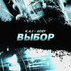 About Выбор Song