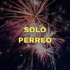 About Solo Perreo Song