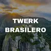 About Twerk Brasilero Song