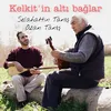 About Kelkit'in Altı Bağlar Song