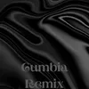 About Remix Cumbia Song