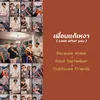 About เพื่อนแก้เหงา Song