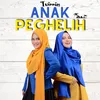 About Anak Peghelih Song