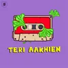 About Teri Aakhien Song