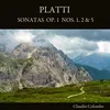 Sonata No. 1 in D Major, Op. 1: II. Allegro