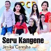 About Seru Kangene Song