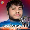 About Radha Bina Krushna Adha Song