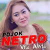 Pojok Netro